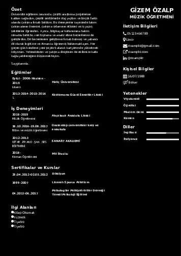 Müzik Öğretmeni Cv Örnekleri cv indir